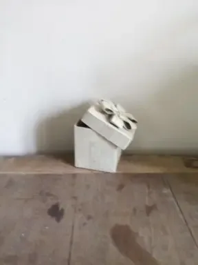 Kartonnen doosje strik