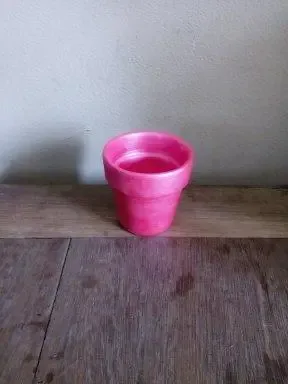 Creatieve Bloempot Roze