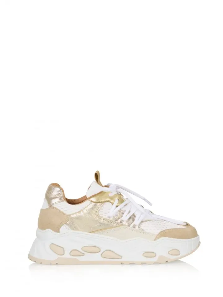 DWRS  TITAN sneaker sand/champagne ( J6868-02)