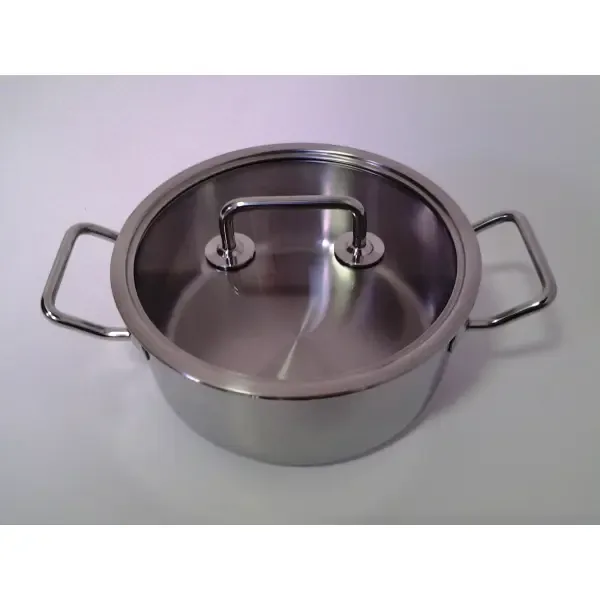 Spring Brigade kookpot 20 cm Diameter Met Glazen Deksel