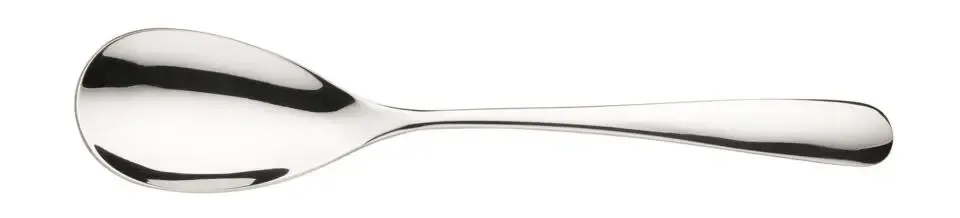 12 Dessertlepel Swing Pintinox