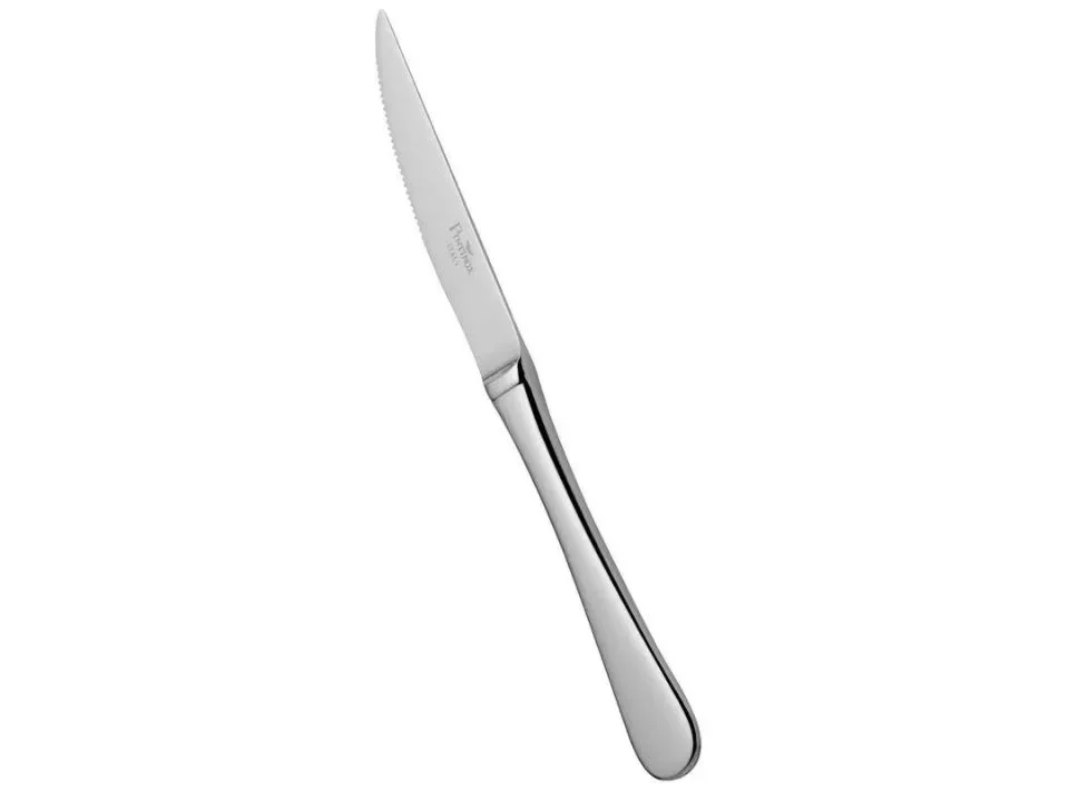 Pintinox professioneel inox steakmes