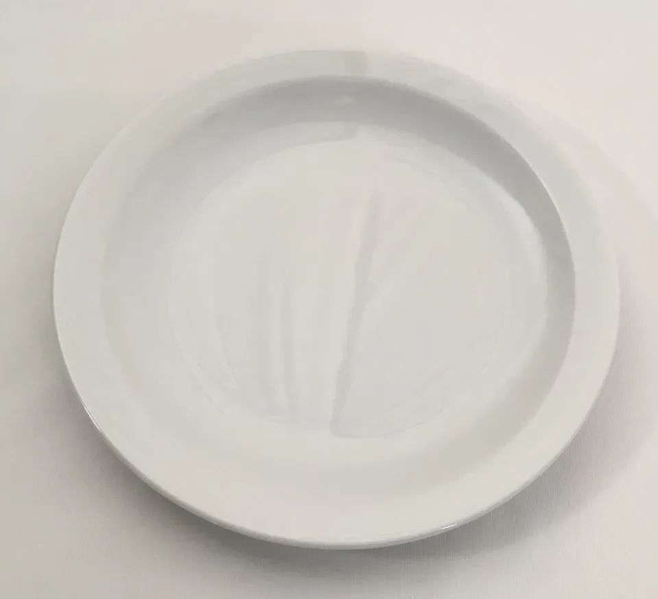 Lubiana Scandia Hotelporselein dessertbord 21 cm
