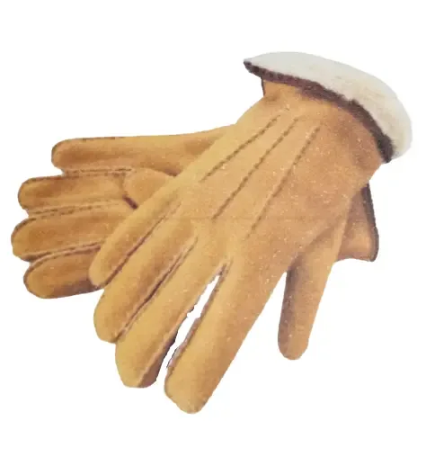Dames en heren - Handschoenen met schapenwol - beige - maat 7 tot 10,5