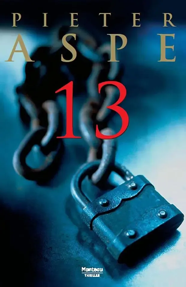 Pieter Aspe - 13 - Roman