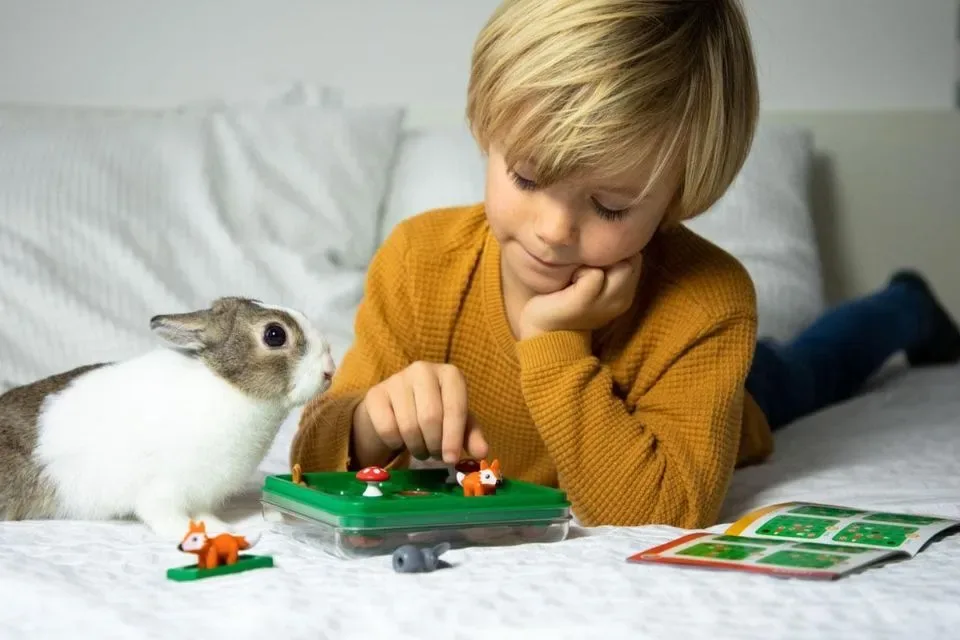 Smart Games - JumpIN - 60 opdrachten - voor kinderen vanaf 7 jaar én volwassenen - hersenkraker