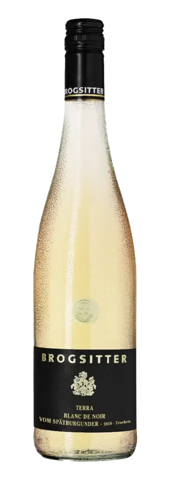Brogsitter Weingüter, Rheinhessen Terra Blanc, Spätburgunder Blanc de Noir 2022 750 ml
