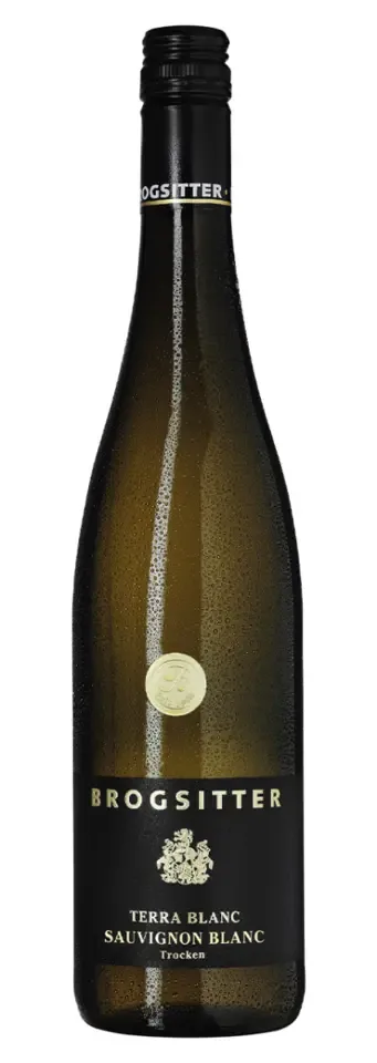 Brogsitter Weingüter, Rheinhessen Terra Blanc Sauvignon Blanc 2022 750 ml