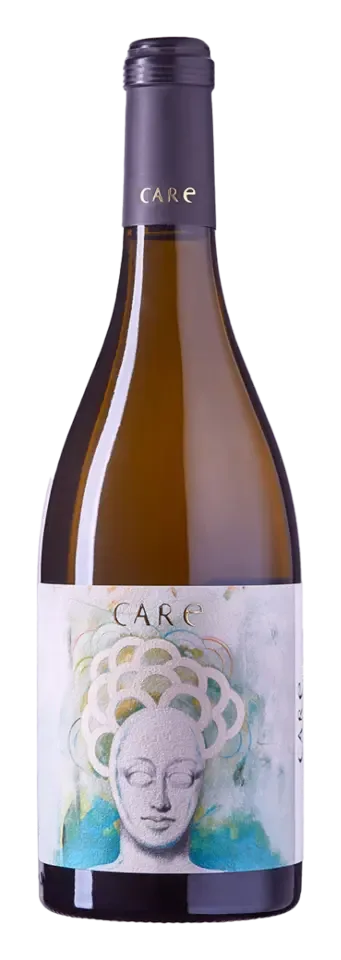 Bodegas Anadas, Cariñena DOP Care XCLNT 2021 750 ml