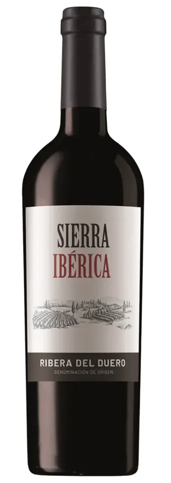 Teófilo Reyes, Ribera del Duero DO Sierra Ibérica 2022 750 ml