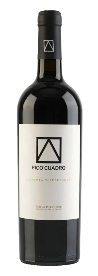 Pico Cuadro, Ribera del Duero DO Vendimia Seleccionada 2020 750 ml