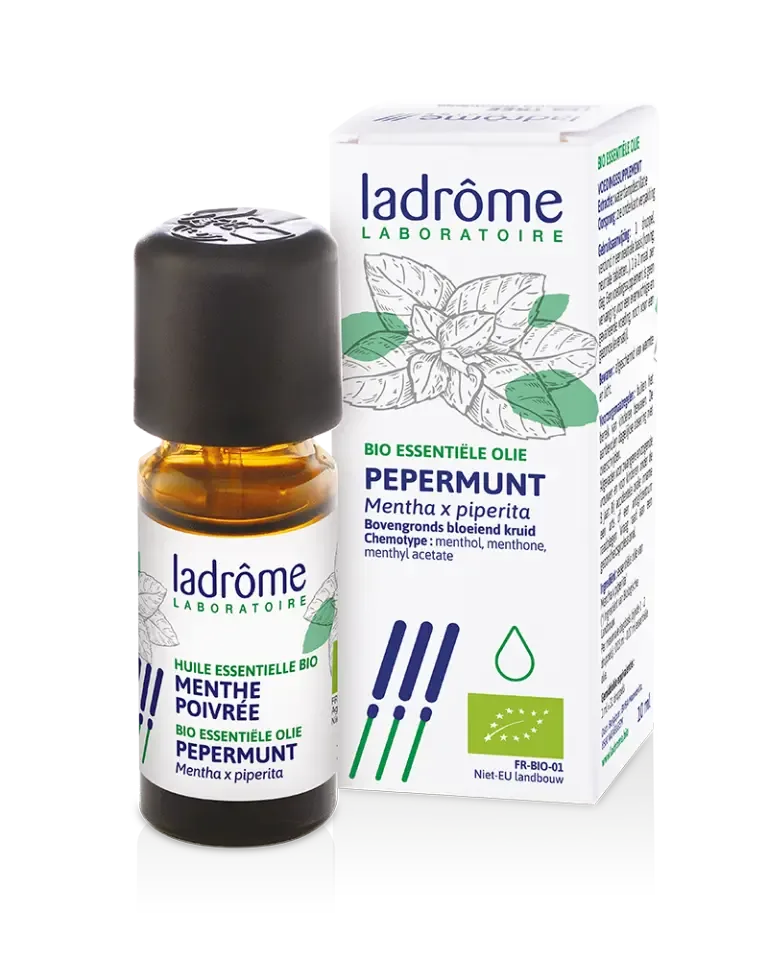 Groot handboek Aromatherapie + beslissingsrad essentiële oliën + 5  basis essentiële oliën 10 ml