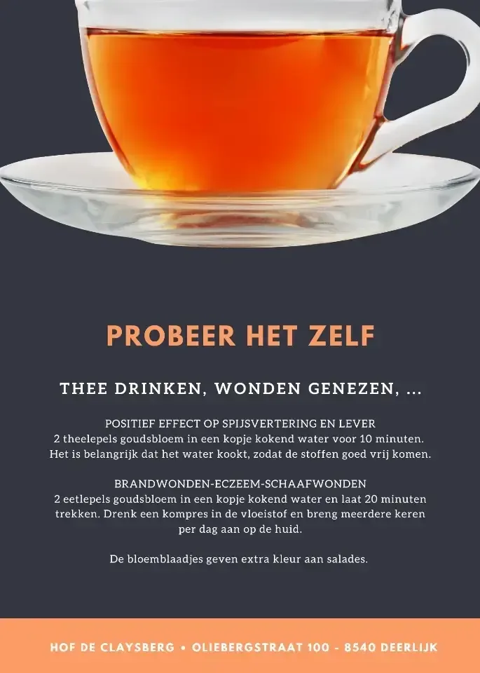 Goudsbloemen 1 kg + pot