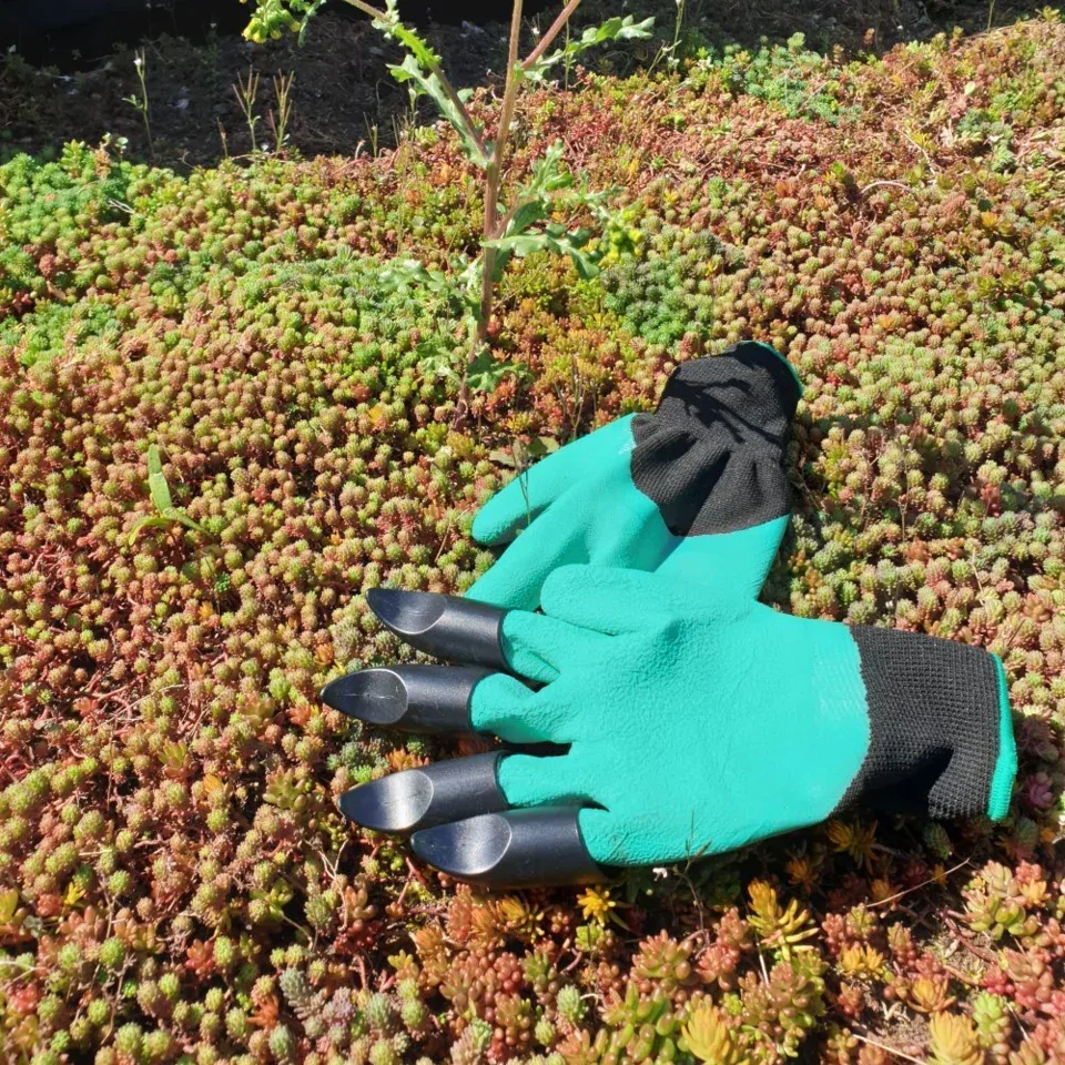 Onderhoudspakket: onderhoud voor je groendak doe-het-zelf, mooie groei bloemen groendak, mos bestrijden, onkruid verwijderen, sedummeststof, sedum mes