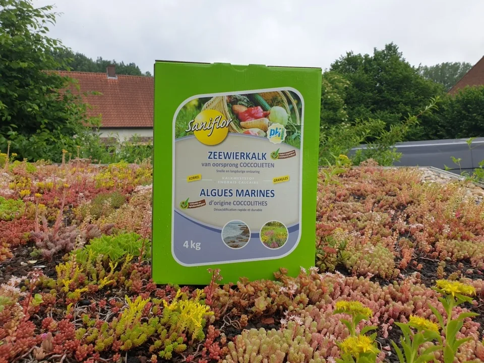 Onderhoudspakket: onderhoud voor je groendak doe-het-zelf, mooie groei bloemen groendak, mos bestrijden, onkruid verwijderen, sedummeststof, sedum mes