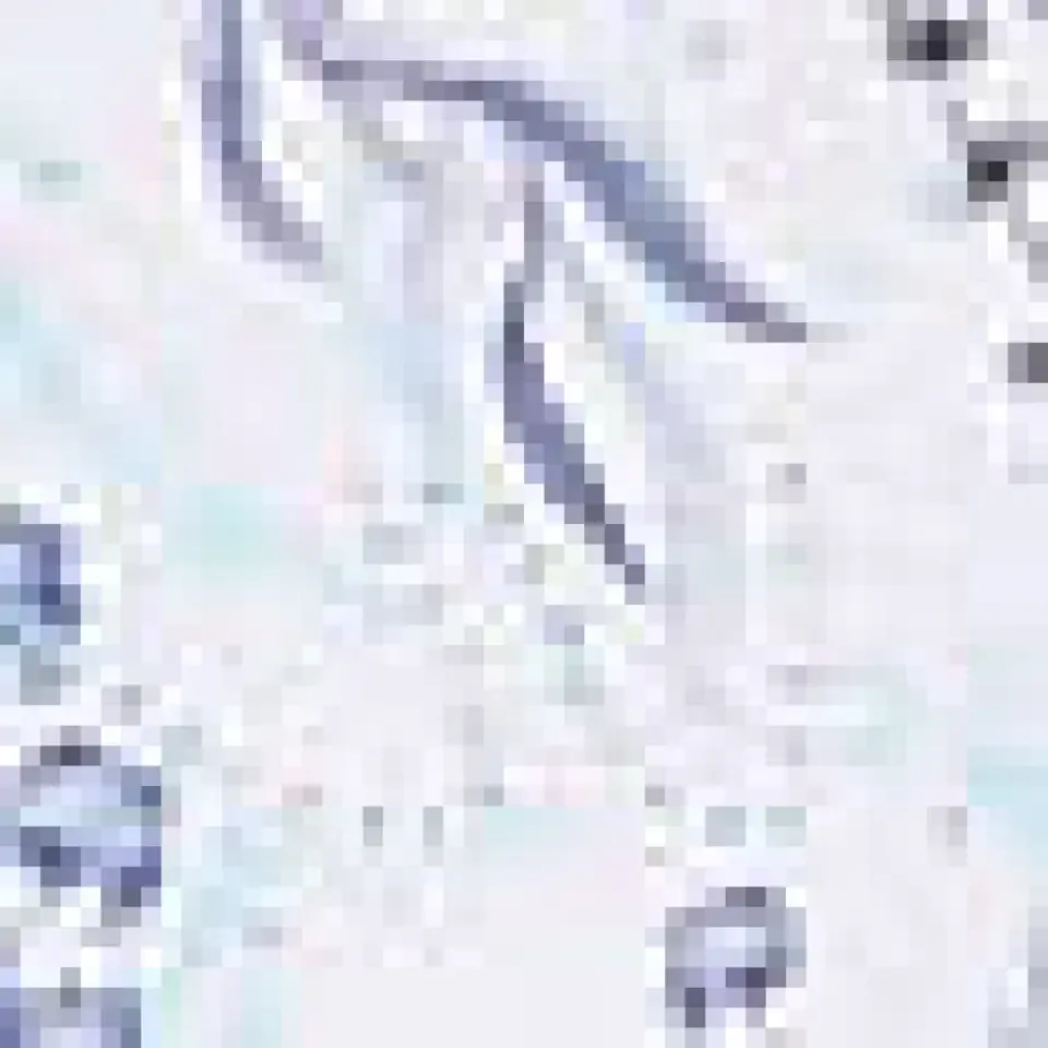 Esprit - Annelie - Slip - 049EF1T031 - White Flower