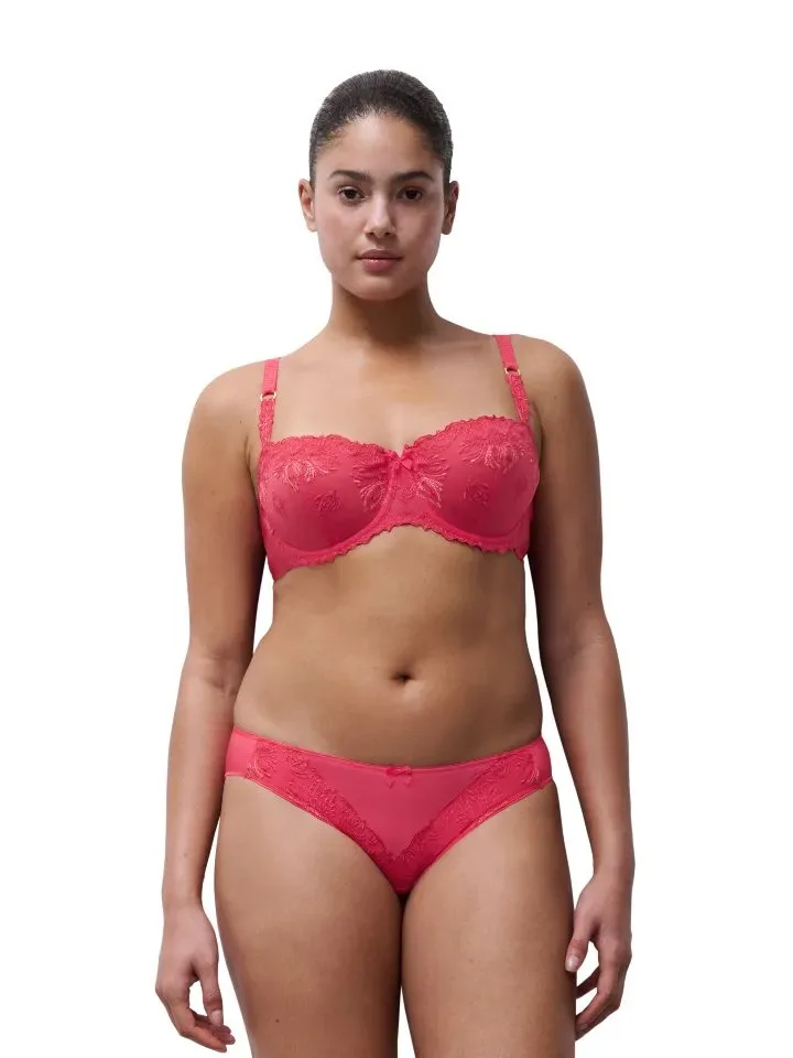 Chantelle – Champs-Elysées – Slip – C26030 – Sweet Velvet