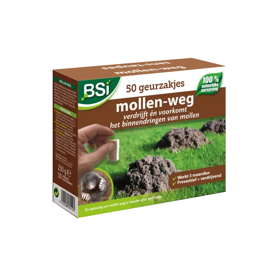mollen weg bsi