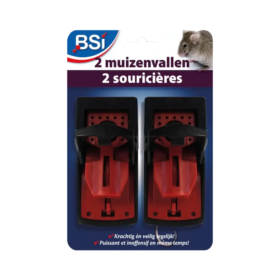 muizenval/2  bsi