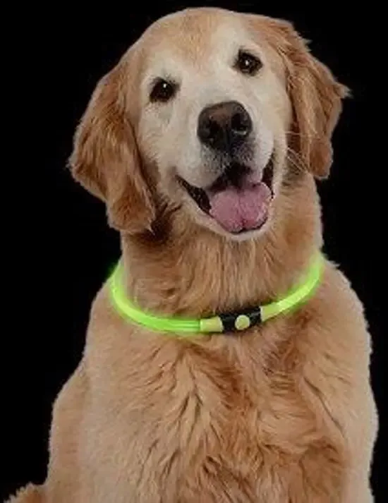 Nite Ize NiteHowl Led Veiligheidsketting Groen voor de Hond NHO-28-R3