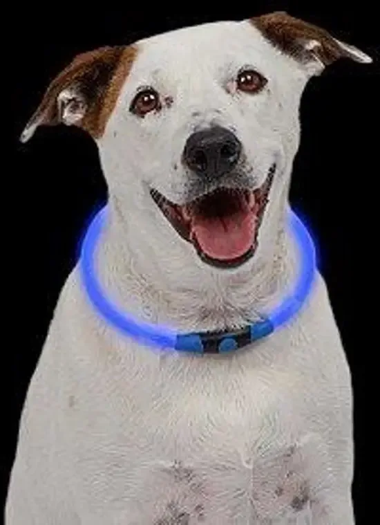 Nite Ize NiteHowl Led Veiligheidsketting Blauw voor de Hond NHO-03-R3