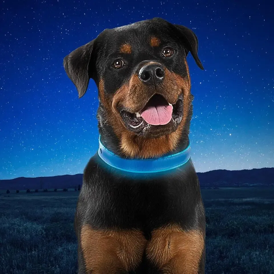 Nite Ize NITEDOG Herlaadbare Led halsband voor een Hond Blauw Extra Large 24" - 28" | 61cm - 71cm NDCRXL-03-R3