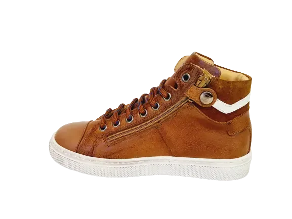 Zecchino d'Oro  Sneaker M12-7204 Bruin