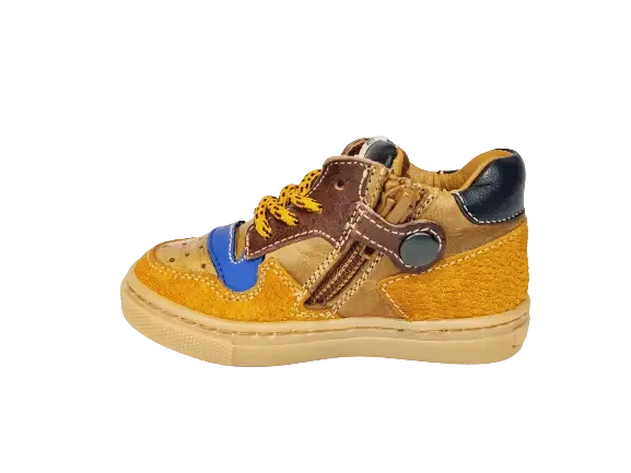 Rondinella Sneaker 4764 Camel/Cobalt