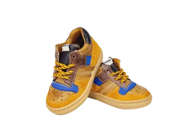 Rondinella Sneaker 4764 Camel/Cobalt