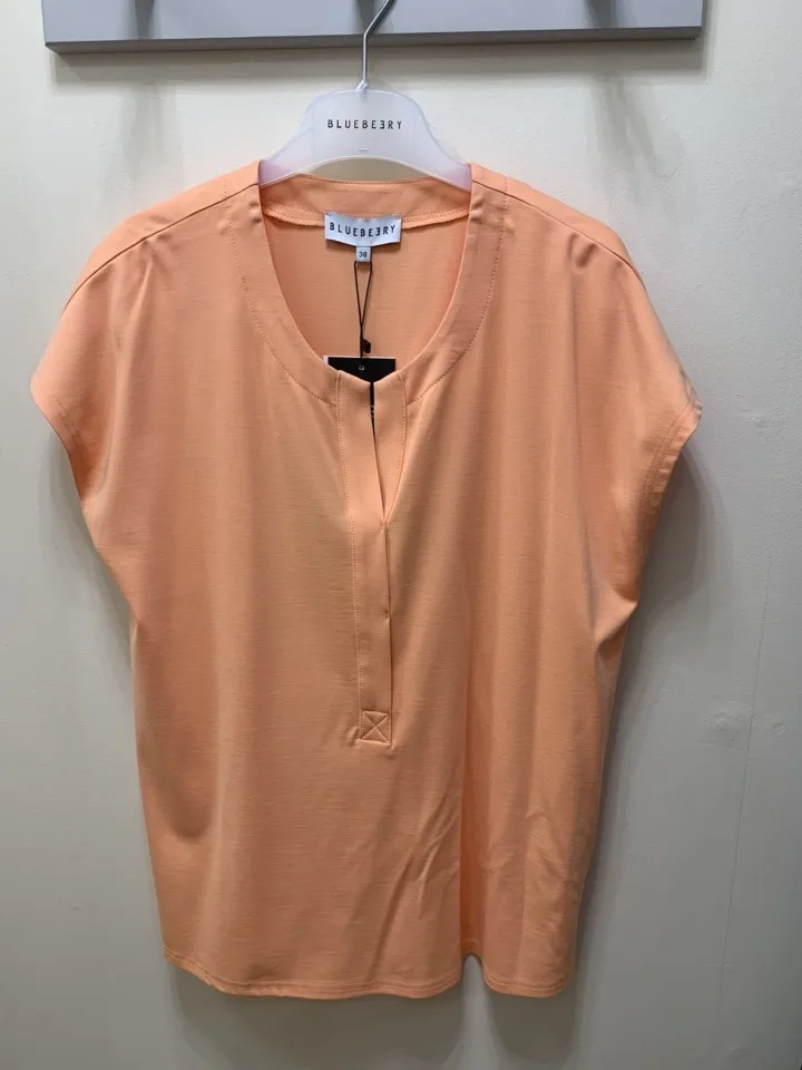 Bluebeery T-shirt: Oranje ( BLU.13 )