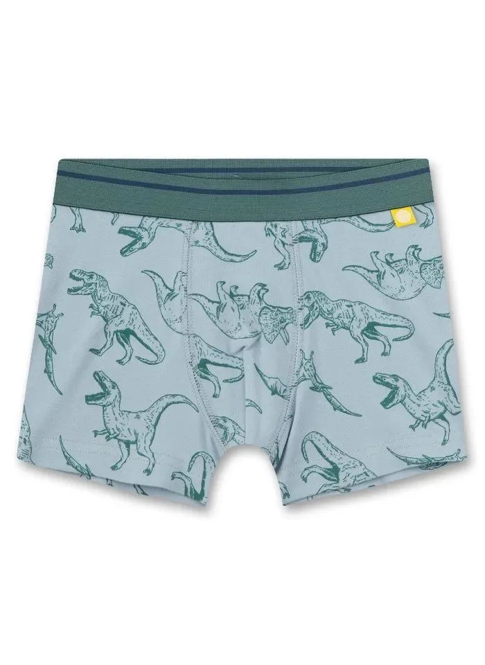 Sanetta boxer Jongens: Dino ( SAN.27 )