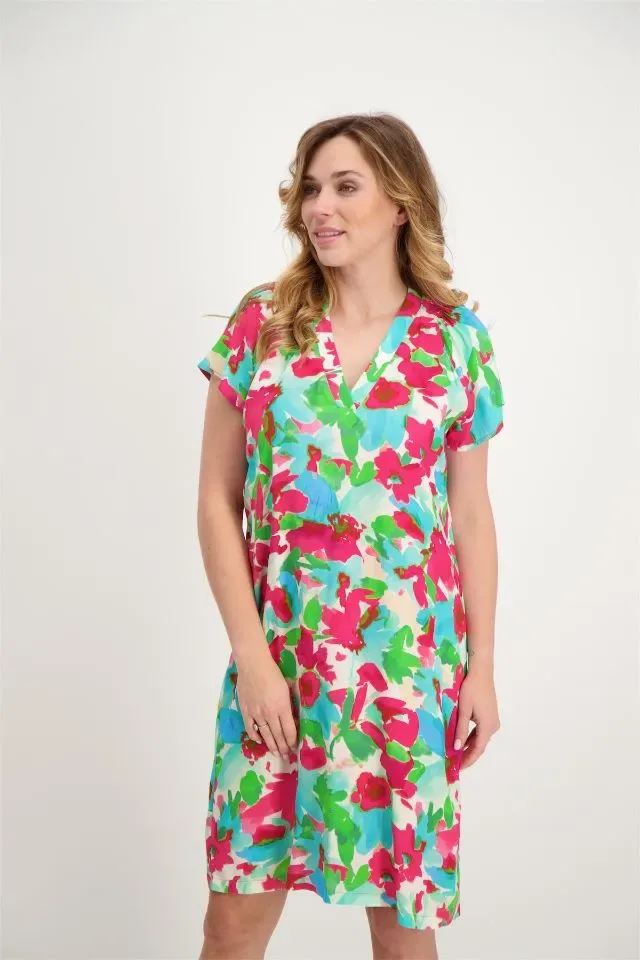 Signe Nature kleed: Multi color, V hals ( DAC.1231 )