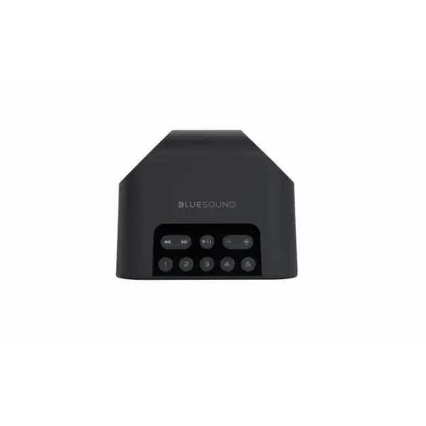 Bluesound Pulse Flex 2i Draadloze speakers