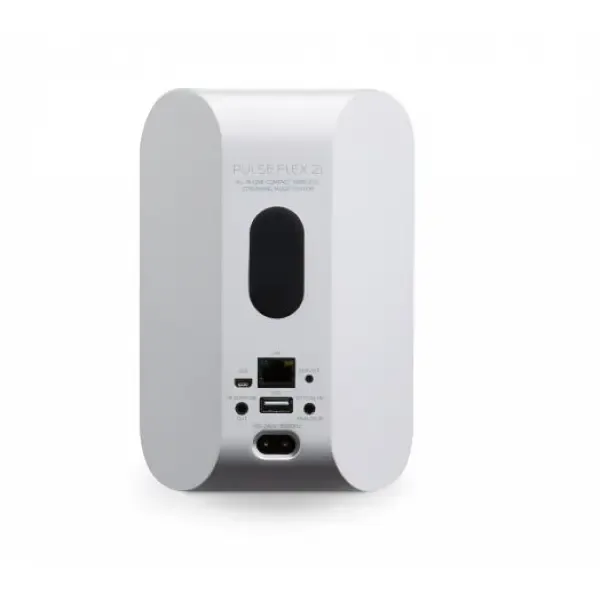 Bluesound Pulse Flex 2i Draadloze speakers