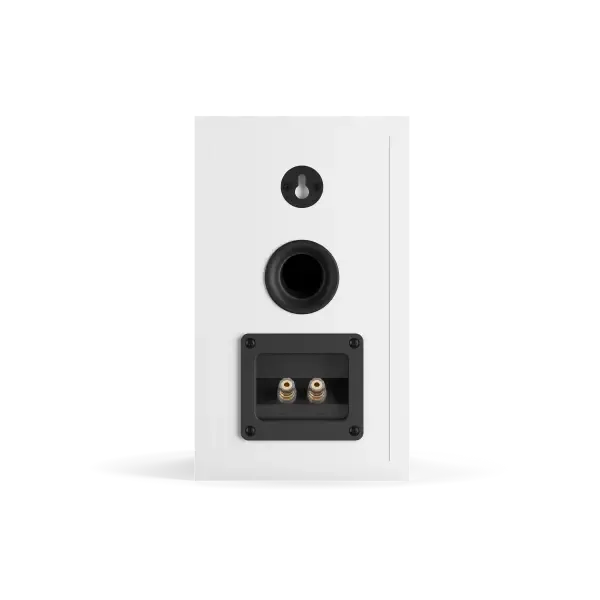 Dali Oberon 1 White