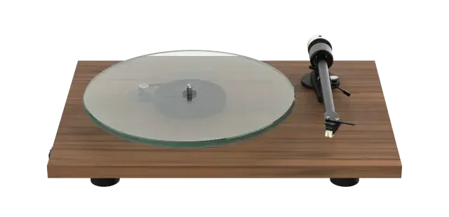 Project T2 W Wood
