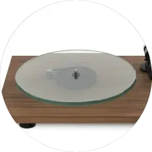 Project T2 W Wood