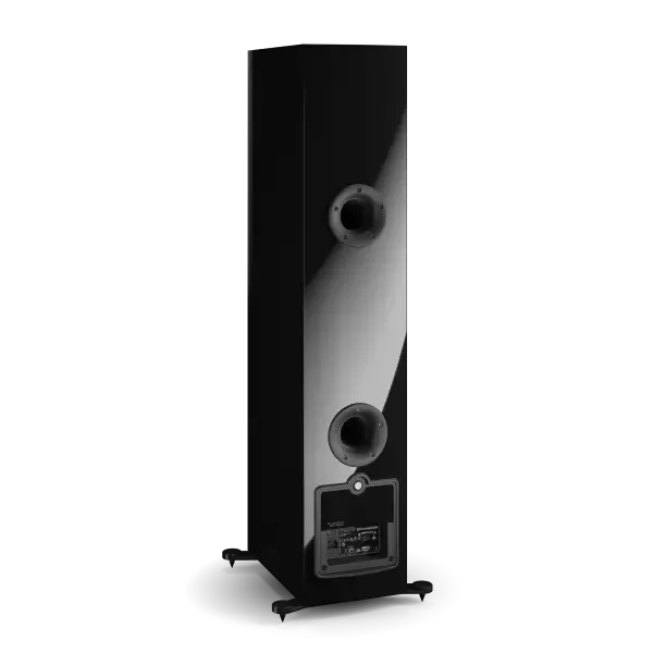 Dali Rubicon 6 C Zwart