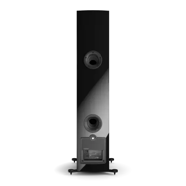 Dali Rubicon 6 C Zwart