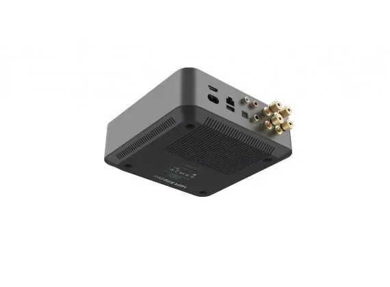 Wiim Amp Pro space grey