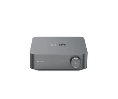 Wiim Amp  space grey
