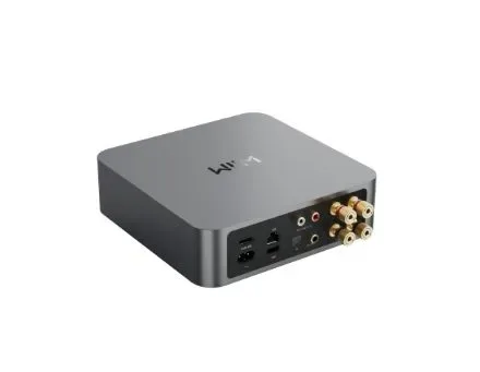 Wiim Amp  space grey