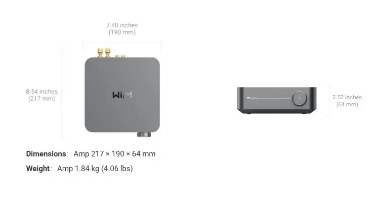 Wiim Amp  space grey