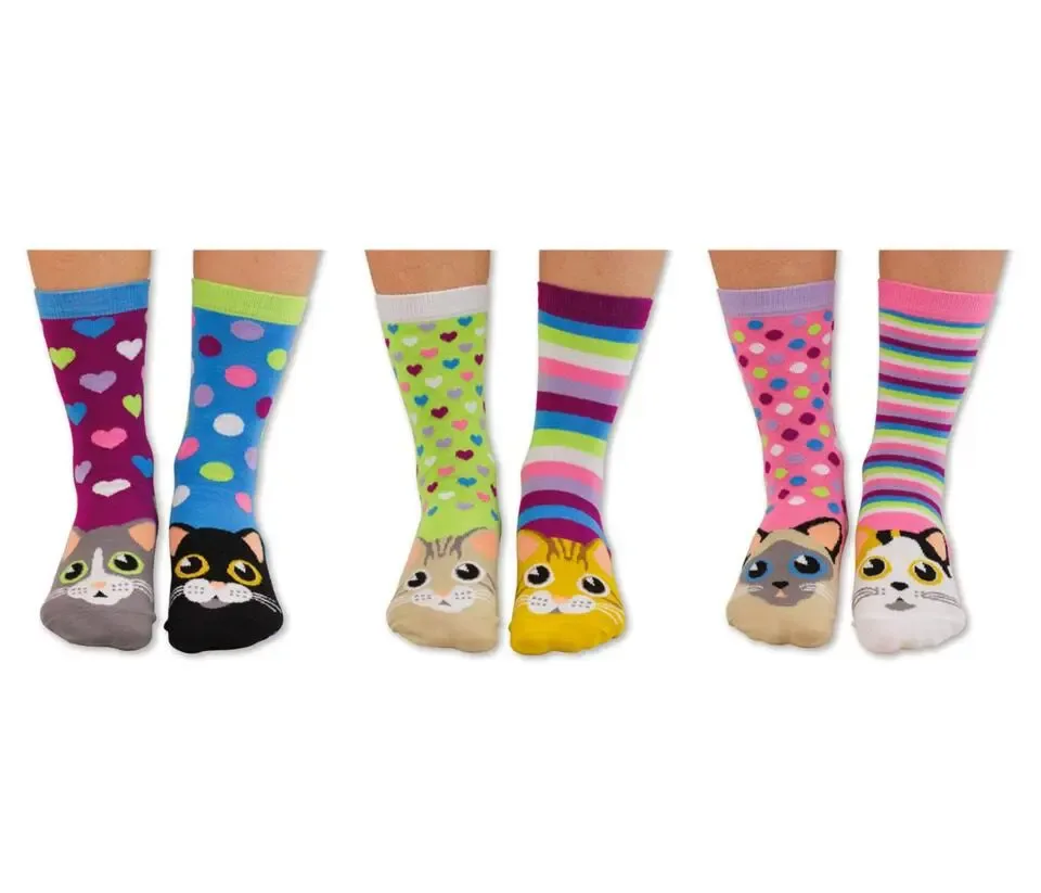 Damessokken Kat Catwalk 6 stuks Mismatched in een Cadeaudoos Maat 37 - 42