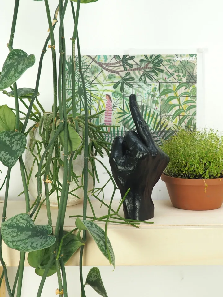 Bitten Sculptuur Beeld Middelvinger Zwart