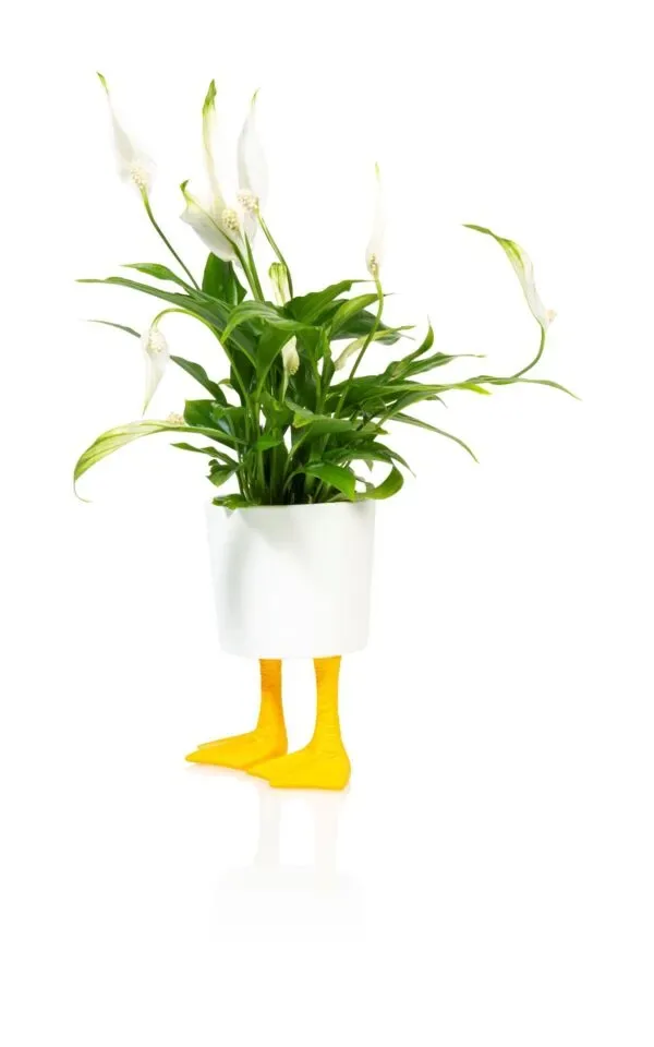 Bitten Bloempot Eend Small diam 6.6cm