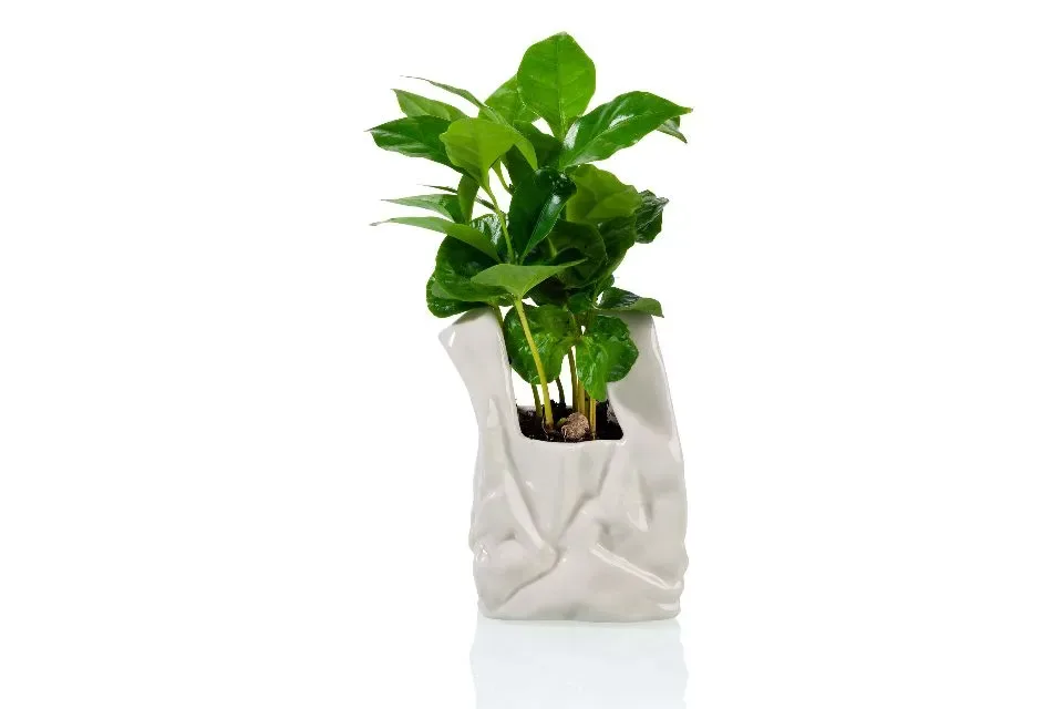 Bitten Design Vaas Pot Tas I Am Not A Plastic Bag