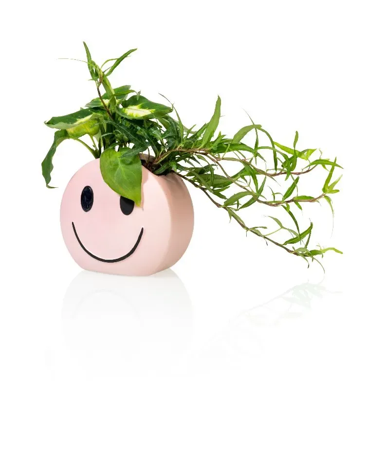 Bitten Design Mood Pot Smile Pennenbakje