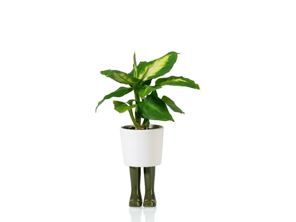 Bitten Design Bloempot Regenlaarzen Groen