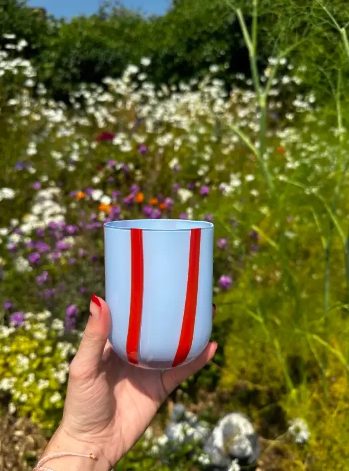 Maegen Drinkglas Strepen Blauw Rood Atina